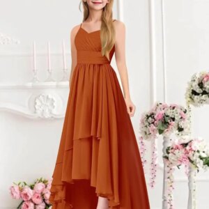 Maid of Honor Dresses for Weddings Bridesmaid Dresses for Wedding High Low Chiffon Pleated Spaghetti Straps Formal Party Gown