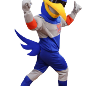 Bird Correc Aminos mascot costume custom fancy costume anime cosplay kit mascotte theme fancy dress carnival costume b0450