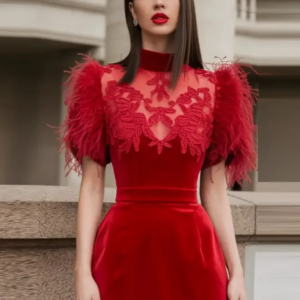 Beautiful Black Velvet Short Women Party Dresses With Feather And Appliques High Neckline Short Sleeves Modest Mini Dress