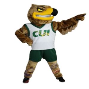 Irvine Marty eagle mascot costume hawk falcon custom fancy costume anime cosplay kit mascotte theme fancy dress carnival 0696