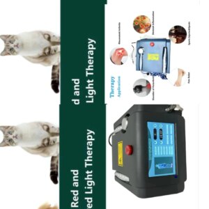LLLT Laser Portable Body Massage Pain Treatment in Healthcare