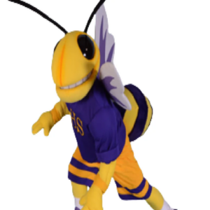 Insect Bee Hornet SHS mascot costume custom fancy costume anime cosplay kit mascotte theme fancy dress carnival costume b0499