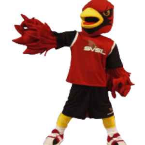 Bird Cardinal Saginaw mascot costume custom fancy costume anime cosplay kit mascotte theme fancy dress carnival costume b0443