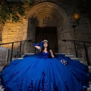 Remarkable King Blue Sequin Appliques Quinceanera Dress Ball Gown With Sleeves Sweetheart vestidos de 15 quinceañera Customized