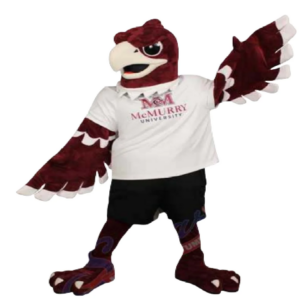 red hawk mascot costume eagle falcon custom fancy costume anime cosplay kit mascotte theme fancy dress carnival costume b0725