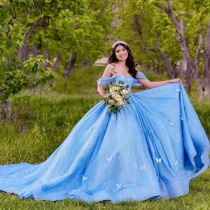 Customized Blue Quinceanera Dress Ball Gown Princess Sweet 16 Birthday Party Gown Pleats Ruffle Butterfly Vestidos De 15 Años