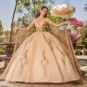 Champagne Princess Quinceanera Dresses Ball Gown V-neck Tulle Appliques Sweet 16 Dresses 15 Años Mexican Customized