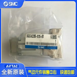 2025 Japan SMC Original Chemical Liquid Solenoid Valve SGCA221B-1015-B1