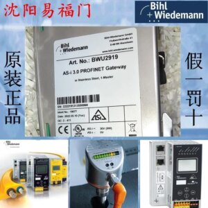 2025.4Bihl+Wiedemann BWU2919, PROFIBUS
