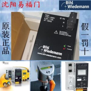 2025.4Biwei BW1649, In Stock, Brand New And Genuine, Link To Physical Photos, Shipped On The Same Day
