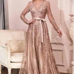 Elegant Rose Gold Mother of the Bride Dresses Bow Belt V-Neck Illusion Long Sleeve A-Line and Floor Length Banquet Mom Gowns