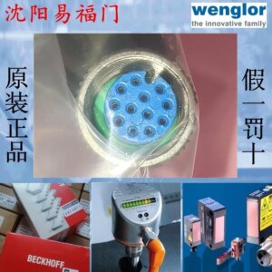 2025.4Wigler Cable ZDCL002 Brand New Original Genuine, Spot, 4 Meters Long, 12 Stitches, Physical Photos.