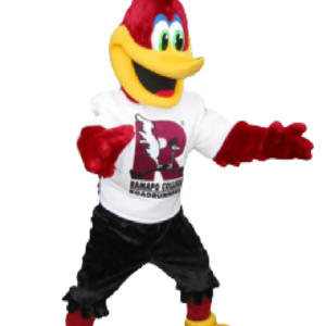 Bird Roadrunner Rampo mascot costume custom fancy costume anime cosplay kit mascotte theme fancy dress carnival costume b0470