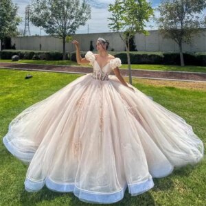 Customized Princess Champagne Ball Gown Quinceanera Dress Floral Appliques Beaded Sweet 16 Dress Vestido De 15 Anos