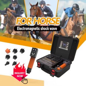 Radial Shock Wave Therapy Musculoskeletal Disorders Euiqne Wave Horses Animals Orthopaedics ShockWave Therapy Device