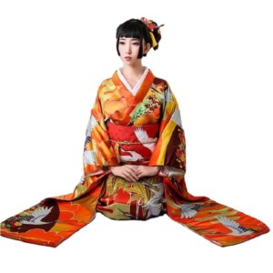 Vibration sleeve women kimono formal dress autumn winter thickened fabric object auspicious cloud crane brocade show Kimonno