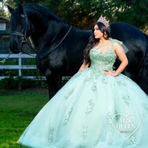 EVLAST Customized Sage Green Quinceanera Dress Ball Gown Lace Applique Beading Mexico Corset Sweet 16 Vestidos De 15 Anos E3Q10
