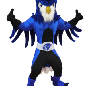 Bird Owl Connectwise mascot costume custom fancy costume anime cosplay kit mascotte theme fancy dress carnival costume b0463
