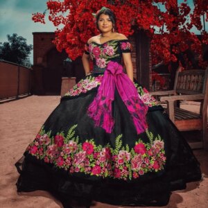 Mexican Black Princess Quinceanera Dresses Ball Gown Luxury 2025 Embroidery Tull Lace-up Sweet 16 Dress Birthday Party Gown