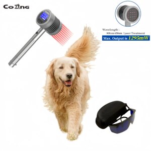 COZING Veterinary Pet Lower Back Pain Relief 808nm*6 Cold Laser Therapy Animals Wound Healing Physical Therapy Laser