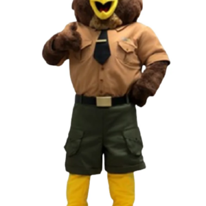 lake trust owl mascot costume custom fancy costume anime cosplay kit mascotte theme fancy dress carnival costume b0140