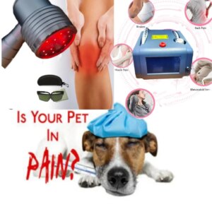 Low Level Portable Cold Laser Therapy Device For Infrared Pain Treatment 808nm 650nm lllt Physiotherapy
