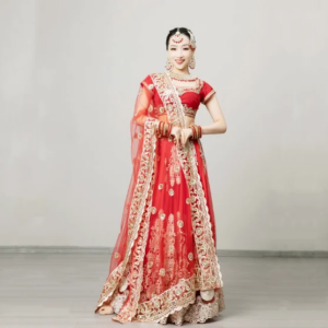 Indian Dance Ethnic Style Women’s Dance Costume Katak Sari Big Skirt Set