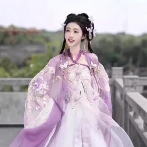 Hanfu women embroidery chebule skirt set ladies