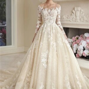 Simple Appliqued Wedding Dress 2024 Elegant Tulle Bridal Gown Luxurious Long Sleeve Bridal Dress Vestidos De Novia