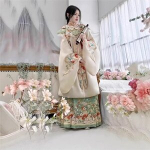 Hanfu female dress set daily ancient clothing