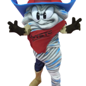 Storm Texas State mascot costume custom fancy costume anime cosplay kit mascotte theme fancy dress carnival costume b0607