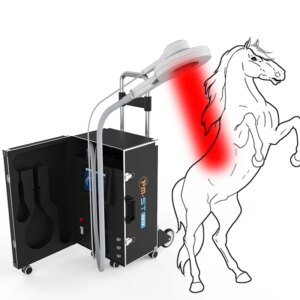 Horses PEMF Therapy Equine Magnetic Physiotherapy Machine High Intensity 4000Gauss