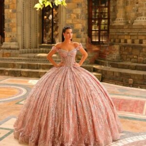 Elegant Applique Quinceanera Dress 2025 Charming Short Sleeve Party Dress Shiny 3D Flower Party Gown 16 Customized