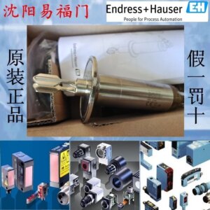 2025.4E+H Enderhaus FTL33-AA4W3AB3EJ, FTL33-25A0/0 In Stock, Physical Photos