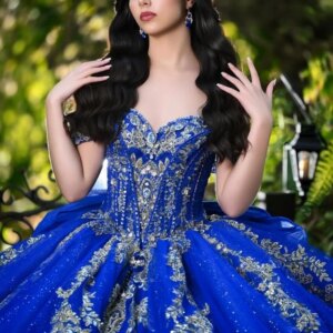 Royal Blue Quinceanera Dresses Ball Gown Off The Shoulder Applique Lace Beading Bow Tull Party Birthday Sweet 16 Dress Vestidos