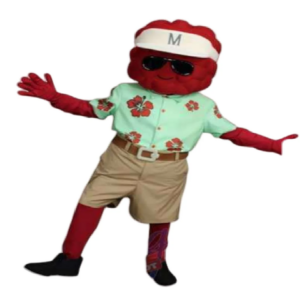 Meatball Man mascot costume custom fancy costume anime cosplay kit mascotte theme fancy dress carnival costume b0652