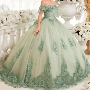 Light Green Sweet 16 Quinceanera Dress Off Shoulder Appliquéd Lace Tull Ball Gown Princess Party Birthday Dress Vestidos 15 De