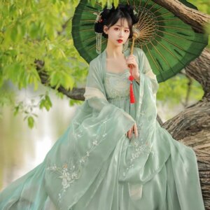 Hanfu female chebula skirt double-layer big sleeve shirt chest-length ruqun elegant