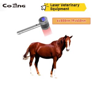 COZING 6x808nm 19x650nm LLLT Low Laser Veterinary Use Cold Laser Therapy Device For Pet Pain Dog/cat Pain Relief