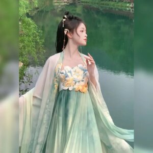 New Hanfu female Chebula skirt big sleeve shirt embroidery ancient style daily