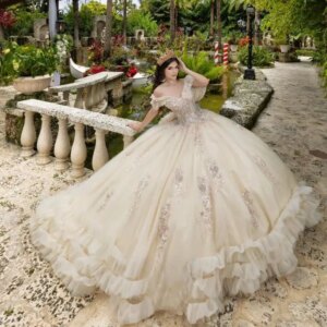 Customized Princess Appliques Ball Gowns Quinceanera Dresses for Girls Bowknot Off the Shoulder Vestidos De Quinceanera