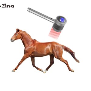 COZING Veterinary Therapeutic Laser Physiotherapy Laser Therapy Veterinary Use Laser Therapy Device