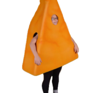 Condiments Cheese mascot costume custom fancy costume anime cosplay kit mascotte theme fancy dress carnival costume b0559