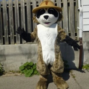 ranger rick racoon mascot costume hot cartoon character racoon theme anime costumes carnival fancy dress 2427