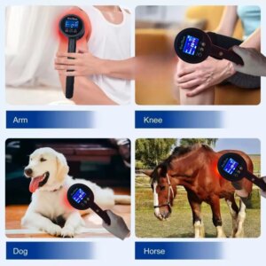 1250mW Deep Tissue Laser Therapy Machine Orthopedic Cold Laser 650nmx15diodes+808nmx10diodes For Horse Rheumatoid Arthritis