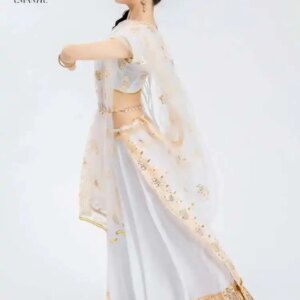 Indian Lengha Three Piece Stage Performance Outfit, Purchase Sari Dress, Top, Exotic Style, Photography, And Photography