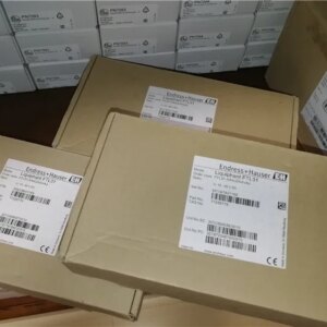 2025.4E+H Enderhaus FTL31-AA4U2AAVAJ, FTL31-13C0/0 Brand New Original Genuine, In Stock