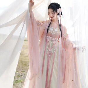 Hanfu suit with Chinese style Tang Song style embroidery and embroidery large sleeves, elegant retro fairy costume