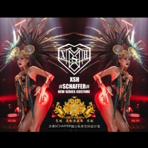 Nightclub Gogo Women’s Forest Style Big Feather Performance Dress Indian Women’s Personalized DS Performance Dress Halloween