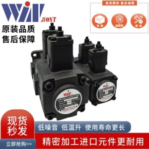 Taiwan Fengchang VP-DF-40D/40D 30C/30C 20B/20B 15A/15A Duplex Pump D C B A